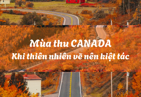 ???? Mùa thu Canada – Khi thiên nhiên vẽ nên kiệt tác